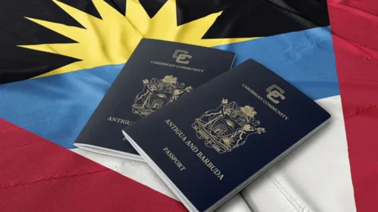Escaping Citizenship-Based Taxation